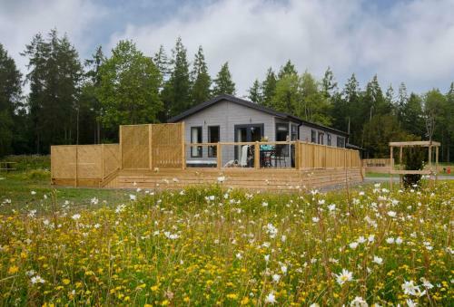 Lodge Hollicarrs Holiday Park - Hares Leap