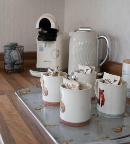 Lodge Hollicarrs Holiday Park - Hares Leap