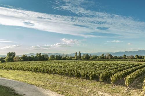 Agroturismo Tenuta La Borghetta