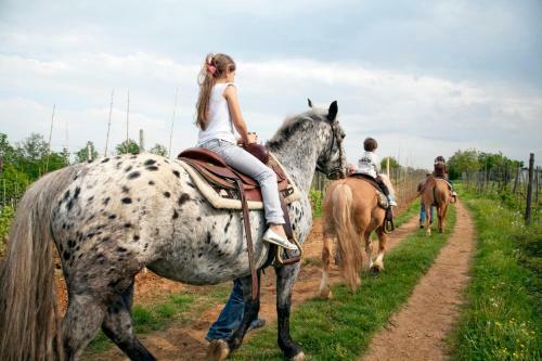 Agroturismo Cascina Papa Mora