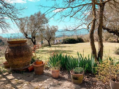 Apartamento Casale Gli Ulivi