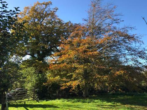 Apartamento Simpers Drift