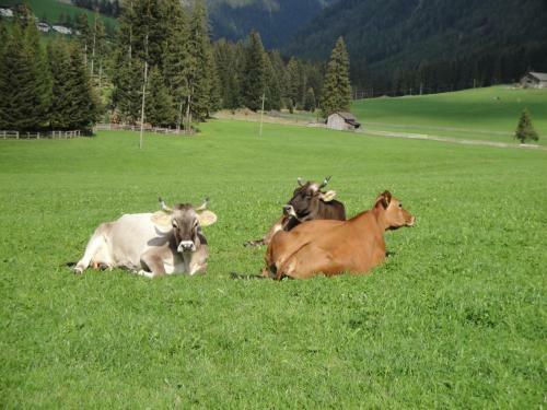 Agroturismo Huterhof
