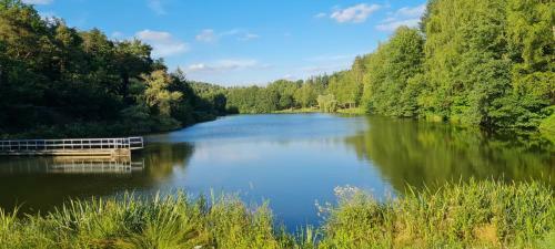Apartamento Ferienwohnung Ludwigs Hof Miehlen