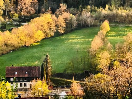Apartamento Green Bambus Wohnung