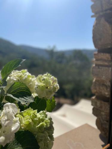 Agroturismo La Casa Di Michela