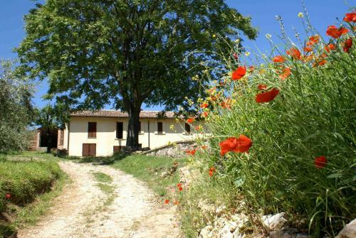 Agroturismo La Perticara Agriturismo