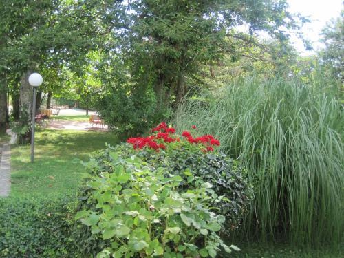 Hotel Gioia Garden