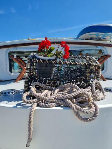 Traditional Boat