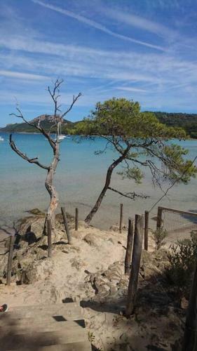 Apartamento Charmant Studio Neuf � 150m De La Mer