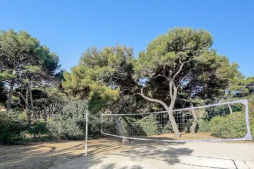 Apartamento Appartement Vue Mer Et Pieds Dans L'eau