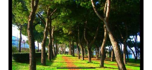 Apartamento Appartamento Condominio Dei Pini