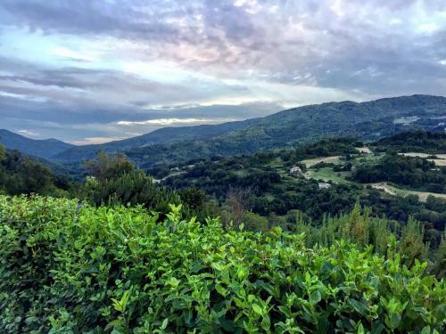 Apartamento Agriturismo Le Cerinaie