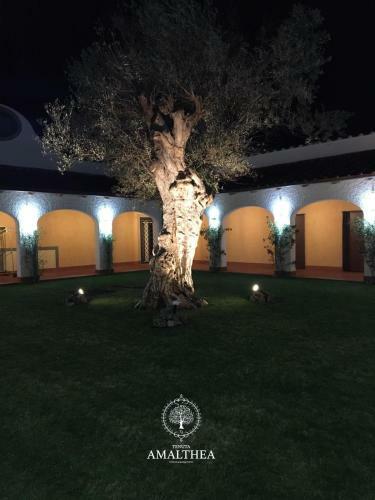 Agroturismo Tenuta Amalthea