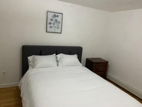 Fully Furnished, Spacious Basement Apartment