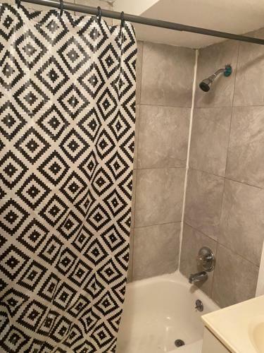 Fully Furnished, Spacious Basement Apartment