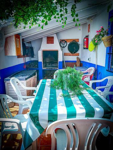 Casa Cueva Alegr�a