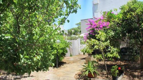 Apartamento Casa Bouganville