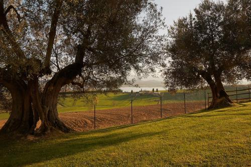 Apartamento Podere Fontegallo