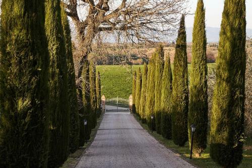 Apartamento Podere Fontegallo