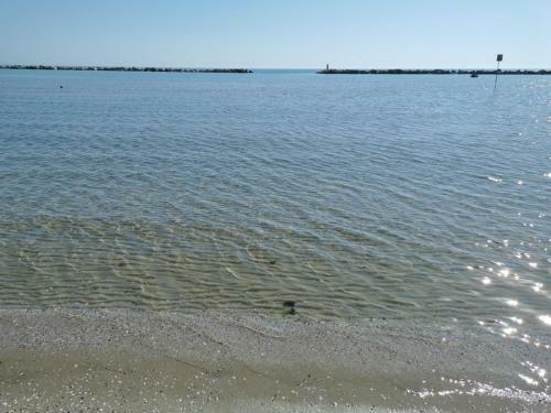 Bed & Breakfast Villa Consorti