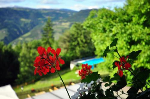 Hotel Bad St Isidor
