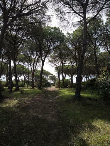 Asfodelo Apartment Budoni- Sardinia