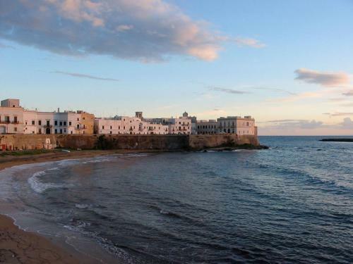 Cheap Apartment In Gallipoli Area