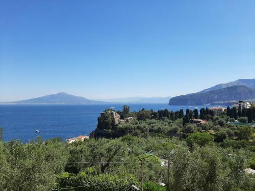 Apartamento Sorrento Tower