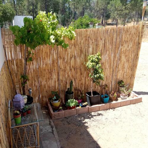 Casita De Campo Encantadora