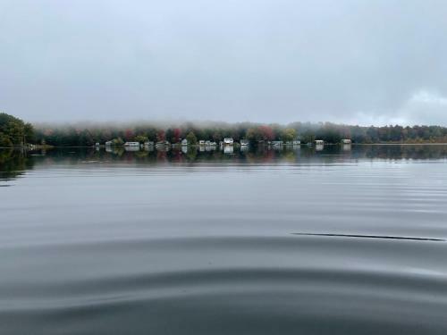 Lakeside Reflections