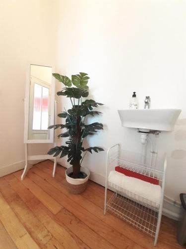Apartamento Habitaci�n Tipo Loft Con Ba�o Independiente