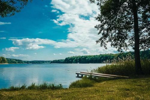 Holzhaus Direkt Am See