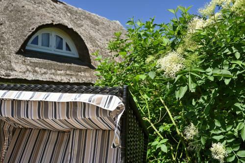 Apartamento Landhaus Vilmnitz - Wohnung 7