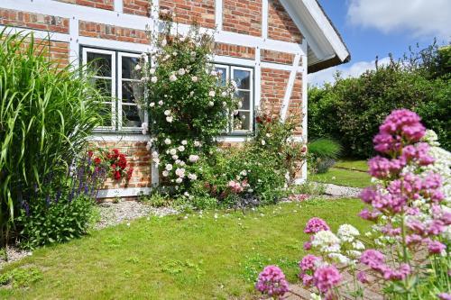 Apartamento Landhaus Vilmnitz - Wohnung 7