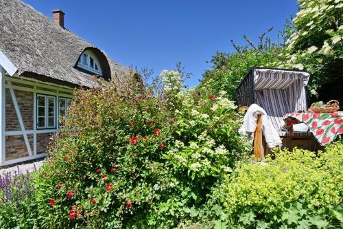 Apartamento Landhaus Vilmnitz - Wohnung 10