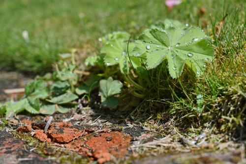 Apartamento Landhaus Vilmnitz - Wohnung 8