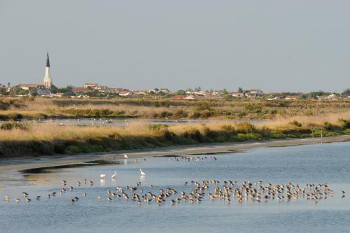 Les Voiliers/la Flotte En R�