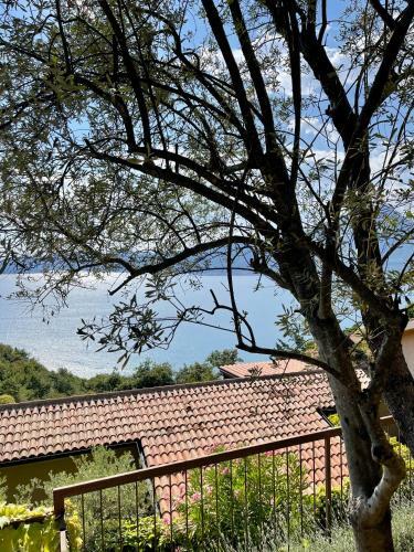 Perlago Apartments