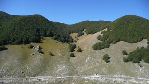 Il Bruco B&B