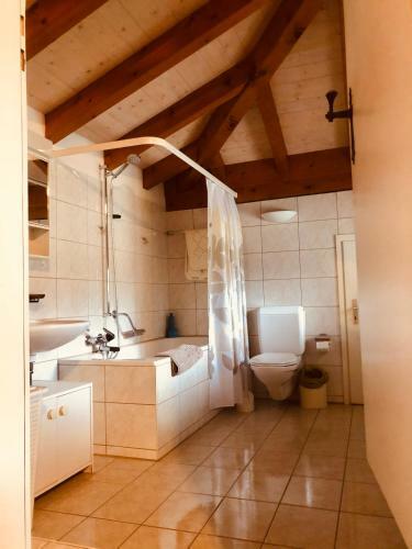 Apartamento Terrazzo Stupendo Sui Tetti Di Ascona