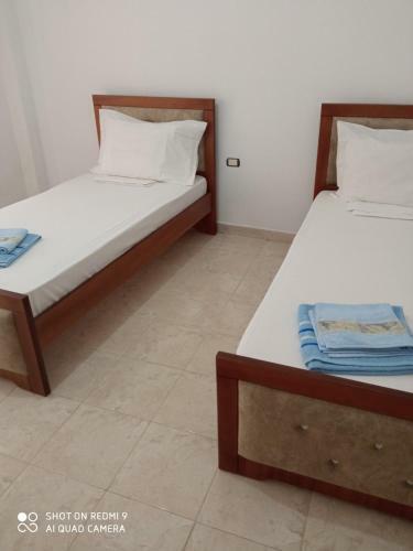 Palasa Apartment
