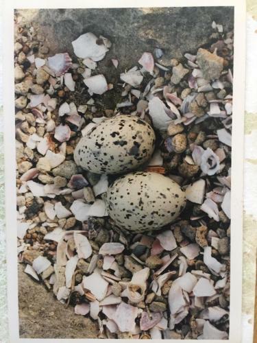 Apartamento The Speckled Egg, 4 Promenade Rd, Lakeside, Cape Town