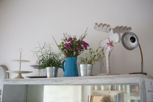 Bed & Breakfast A Casa Di Ita