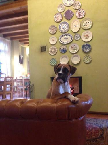 Agroturismo Agriturismo Cascina Maiocca