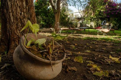 Casa De Lujo Con Piscina En Pleno Centro De Santiago Del Estero