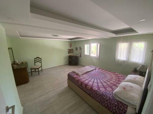 Albergue Shanti Too - S??ac?k
