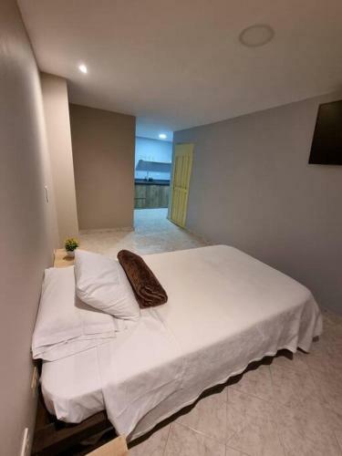 U1 Entire Loft Apart, Penol Rock View, Guatape