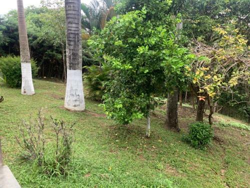 S�tio Para Loca��o Em Condom�nio Fechado