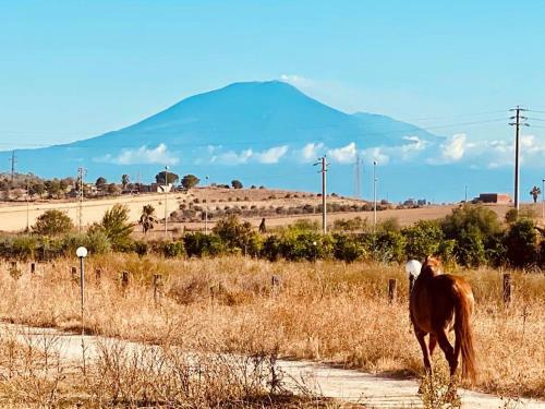 Agroturismo Tenuta Pirrera
